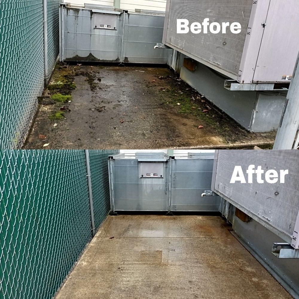 Before and after comparison of outdoor floor high-pressure washing showing mossy concrete cleaned thoroughly.